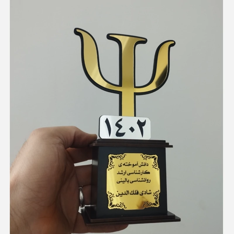 تندیس چوبی روانشناسی کد 2(پس کرایه)